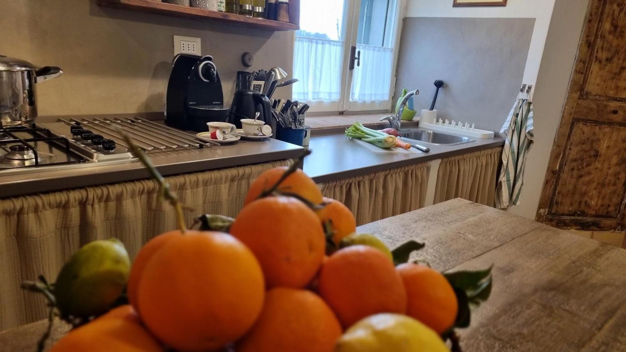 Il Piccino 29, Esperienza Romantica In Borgo.... Montescudaio Eksteriør bilde